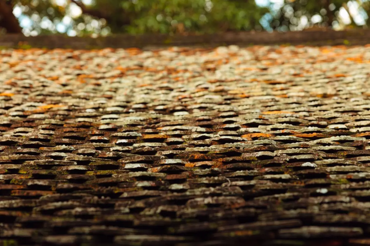 Roof Leak Repair in Torrance, CA